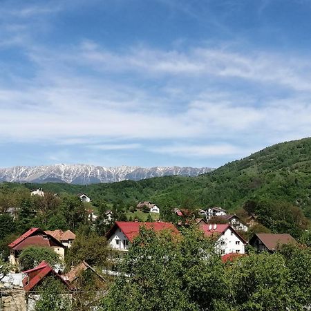 ホテル Vila Maria Bran シモン エクステリア 写真