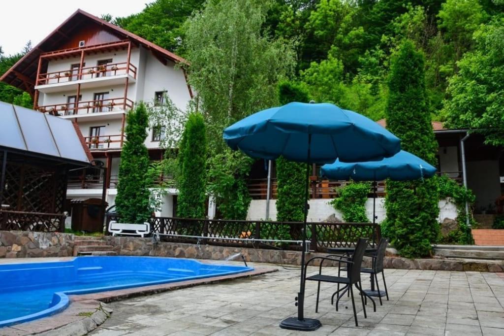 ホテル Vila Maria Bran シモン エクステリア 写真