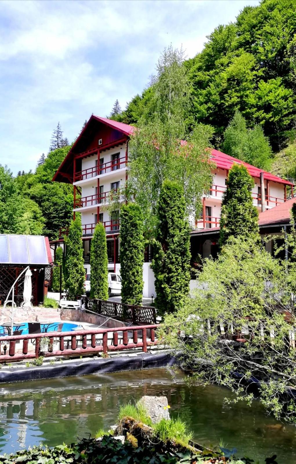 ホテル Vila Maria Bran シモン エクステリア 写真